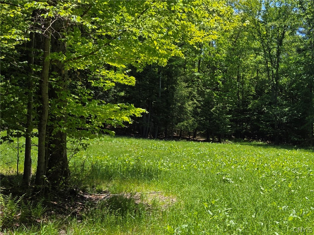 Lillibridge Road Olean, NY 14760 - Photo 30 of 48