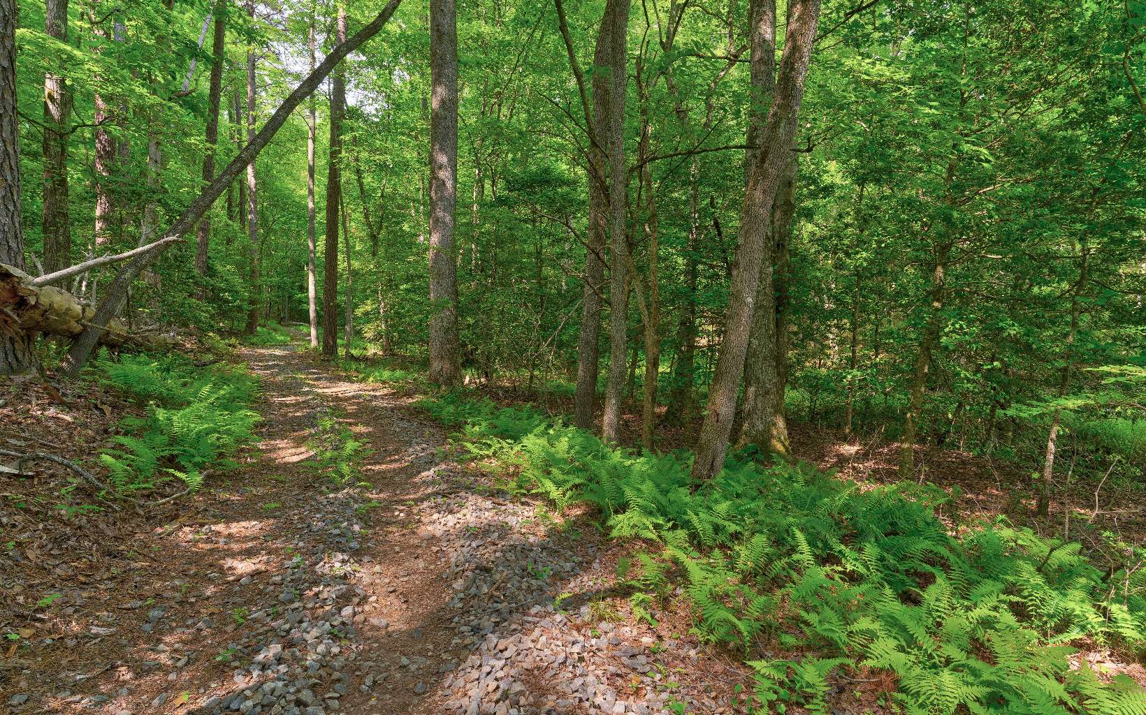875 Old Mill Road Mineral Bluff, GA 30559 - Photo 44 of 49 Additional View