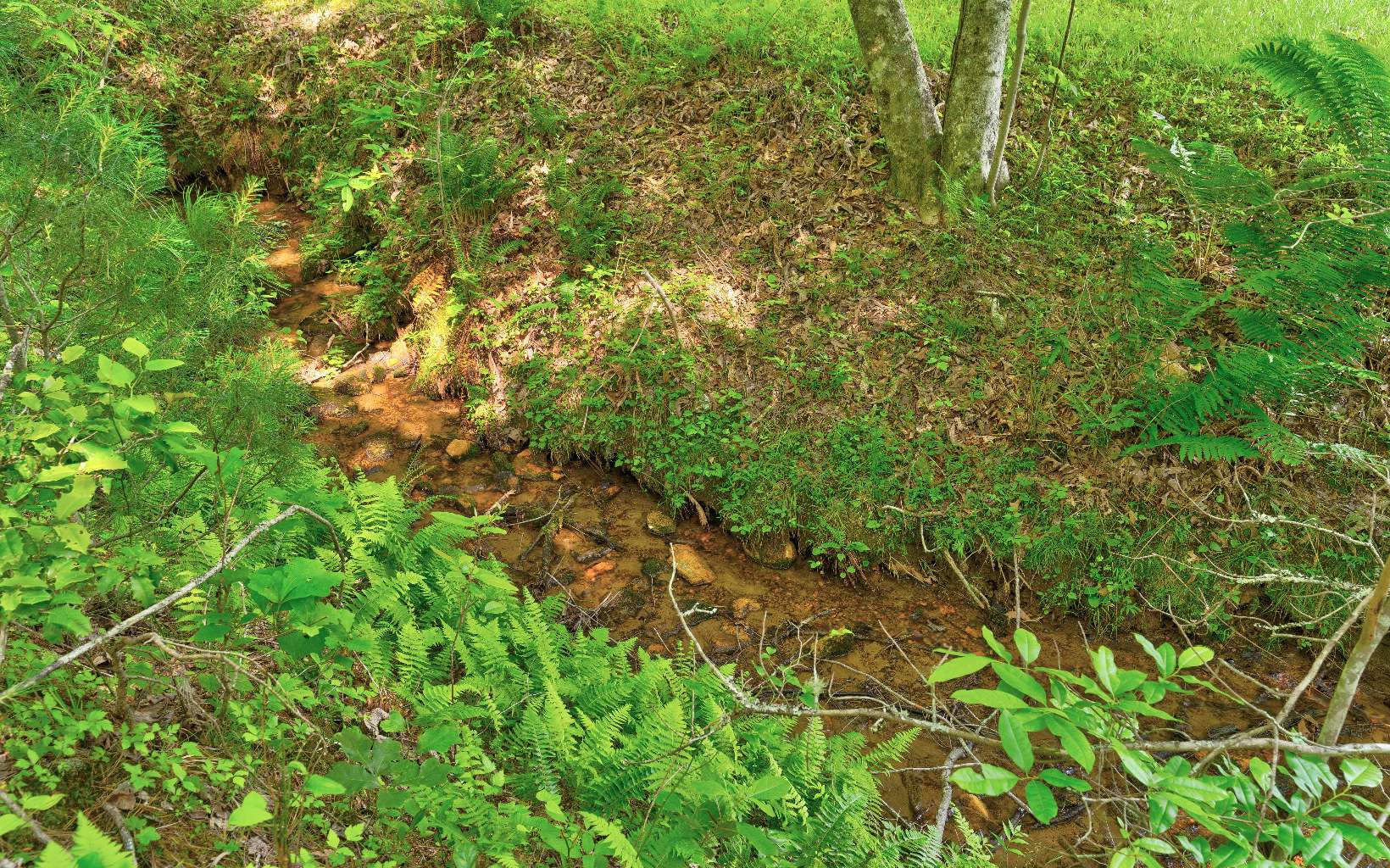 875 Old Mill Road Mineral Bluff, GA 30559 - Photo 46 of 49 Additional View