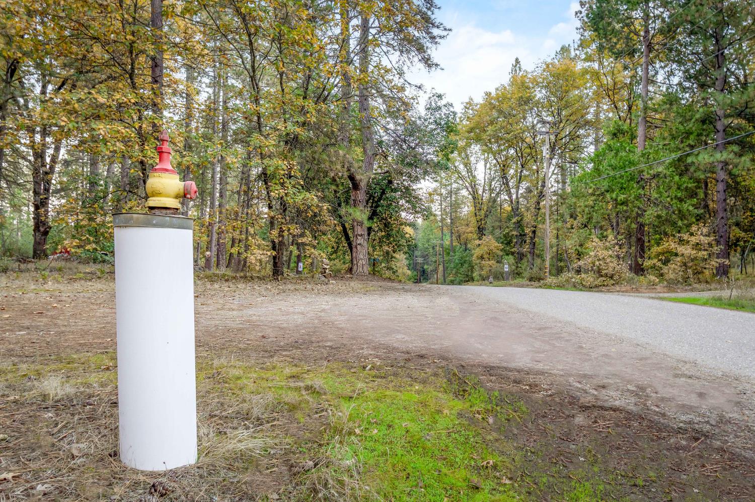 10376 Smith Road Grass Valley, CA 95949 - Photo 35 of 38 Fire Hydrant at road.