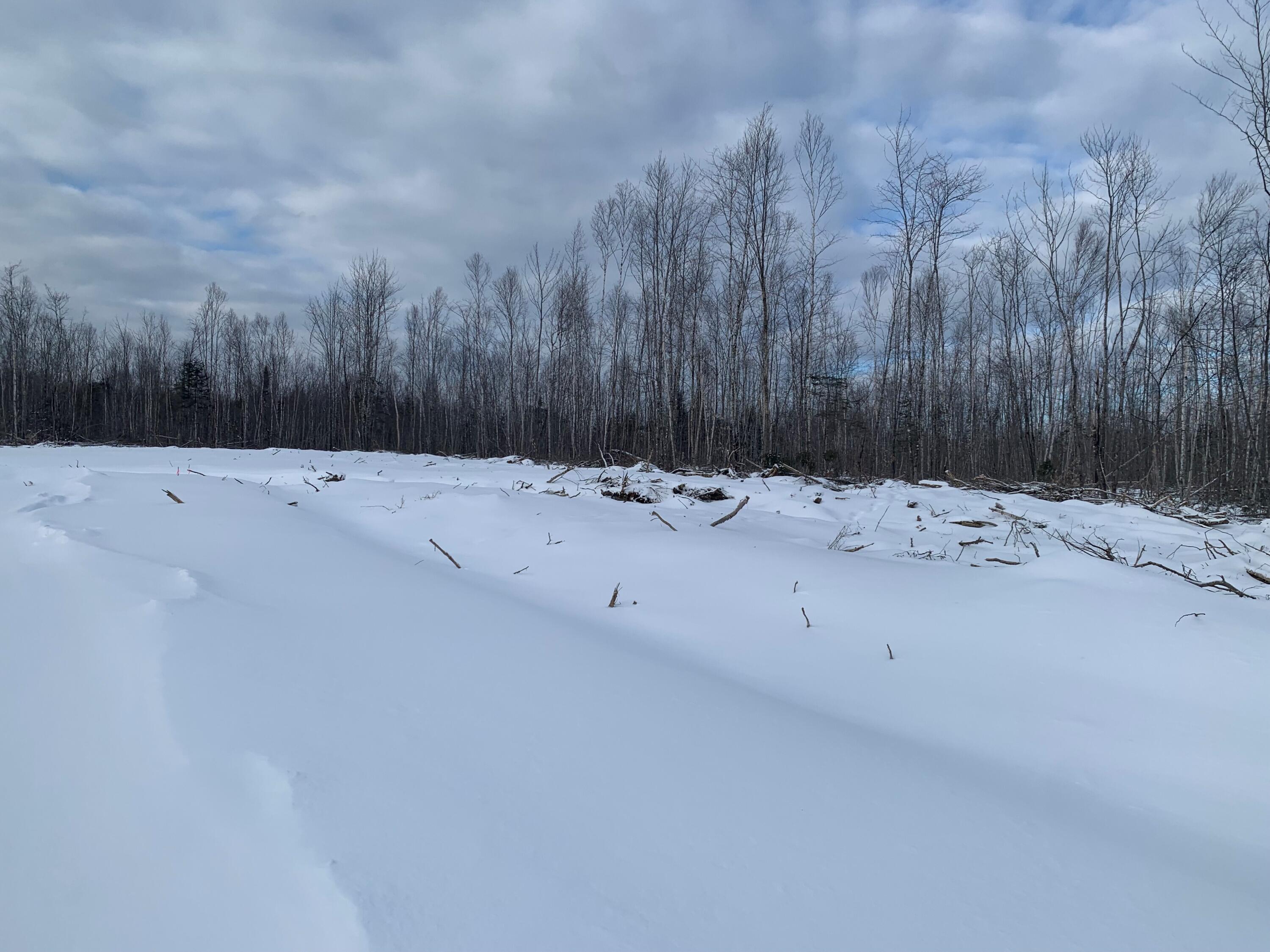 51 Stone Road Mount Chase, ME 04765 - Photo 1 of 5 MLS6