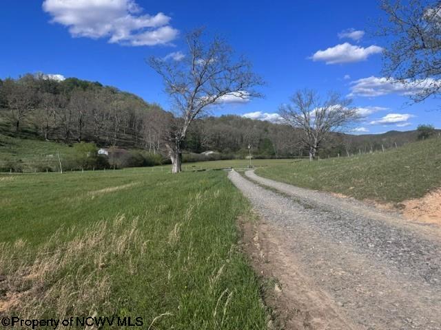 Tbd Shaffers Run Road Mill Creek, WV 26280 - Photo 12 of 43 Gallery Image 12