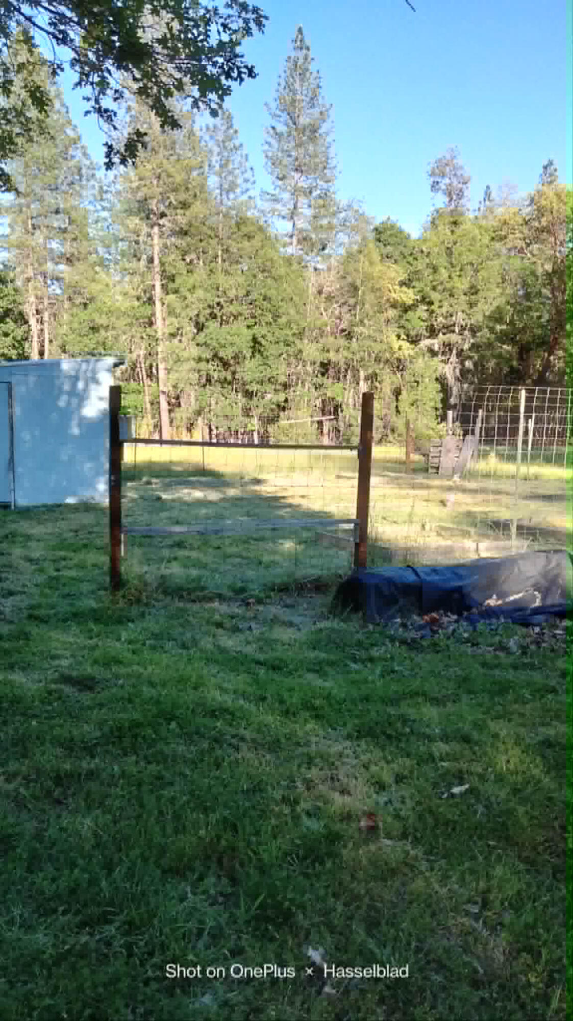 575 Kirkham Road Cave Junction, OR 97523 - Photo 44 of 45 a view of yard with ocean view