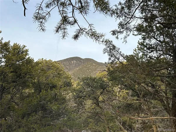 a view of a bunch of trees in a field