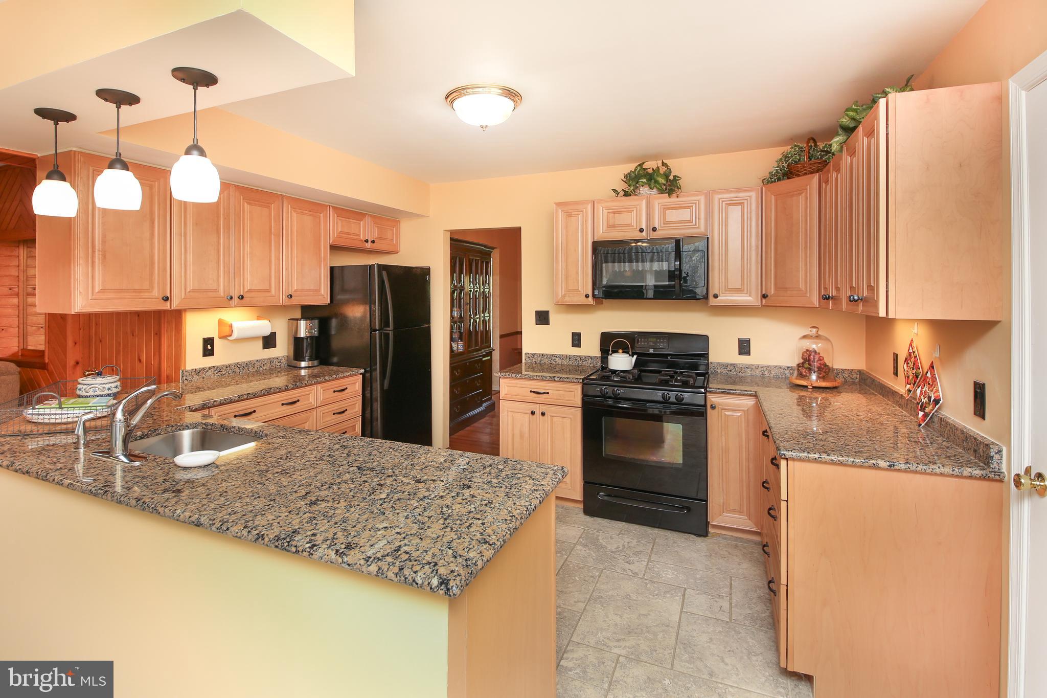 251 Arden Road Conshohocken, PA 19428 - Photo 9 of 39