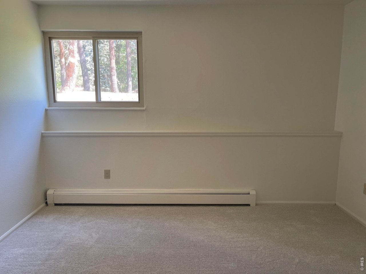 8060 Niwot Road, Unit 7E Niwot, CO 80503 - Photo 11 of 22 Lots of light looking onto forest like lawn