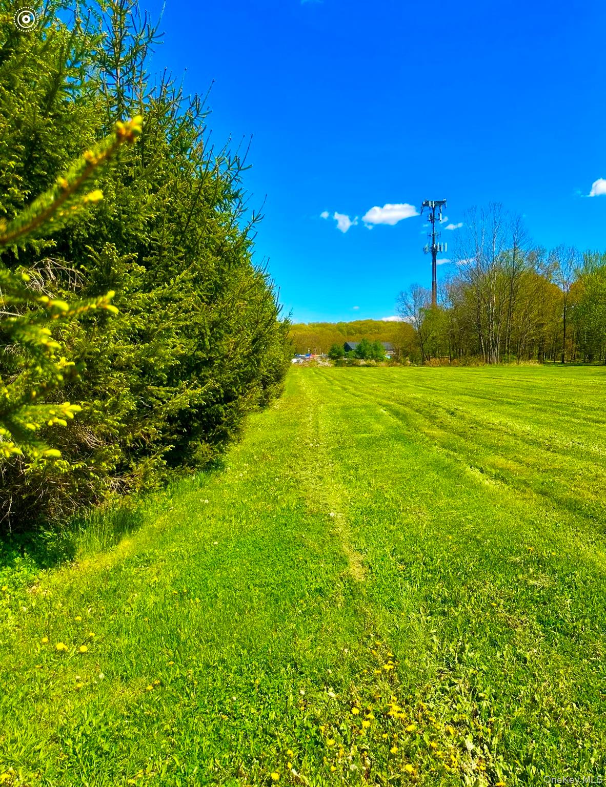 Tbd Lot#3 Quaker Street Wallkill, NY 12589 - Photo 3 of 3