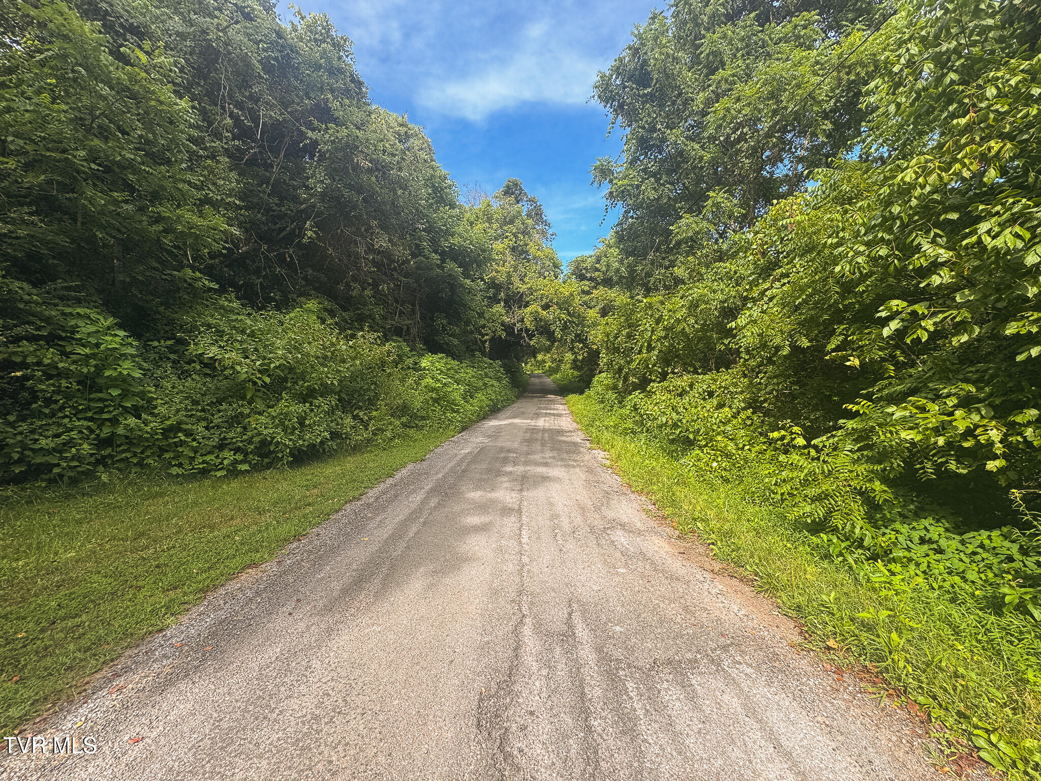 0 Gravely Valley Road Eidson, TN 37731 - Photo 28 of 36 IMG_9741