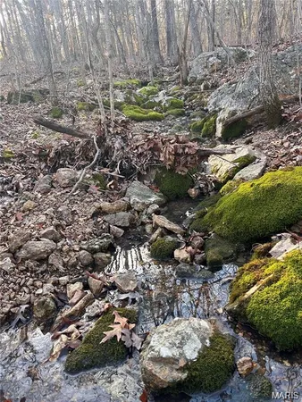 $49,900 | 0 Dusty Road, Cadet, MO 63630