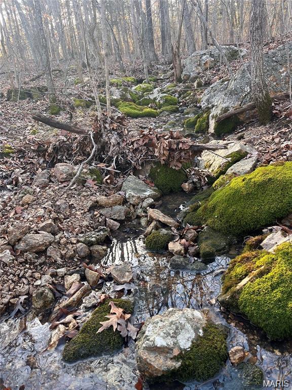 0 Dusty Road Cadet, MO 63630 - Photo 3 of 4