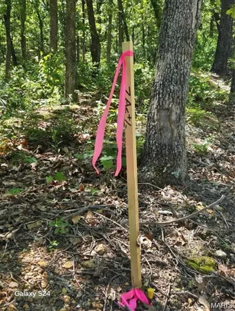 $49,900 | 0 Dusty Road, Cadet, MO 63630