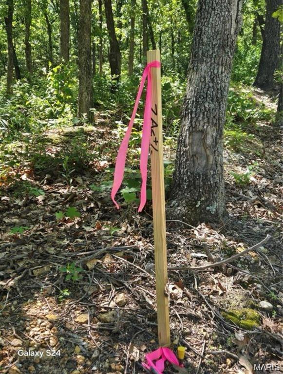 0 Dusty Road Cadet, MO 63630 - Photo 4 of 4