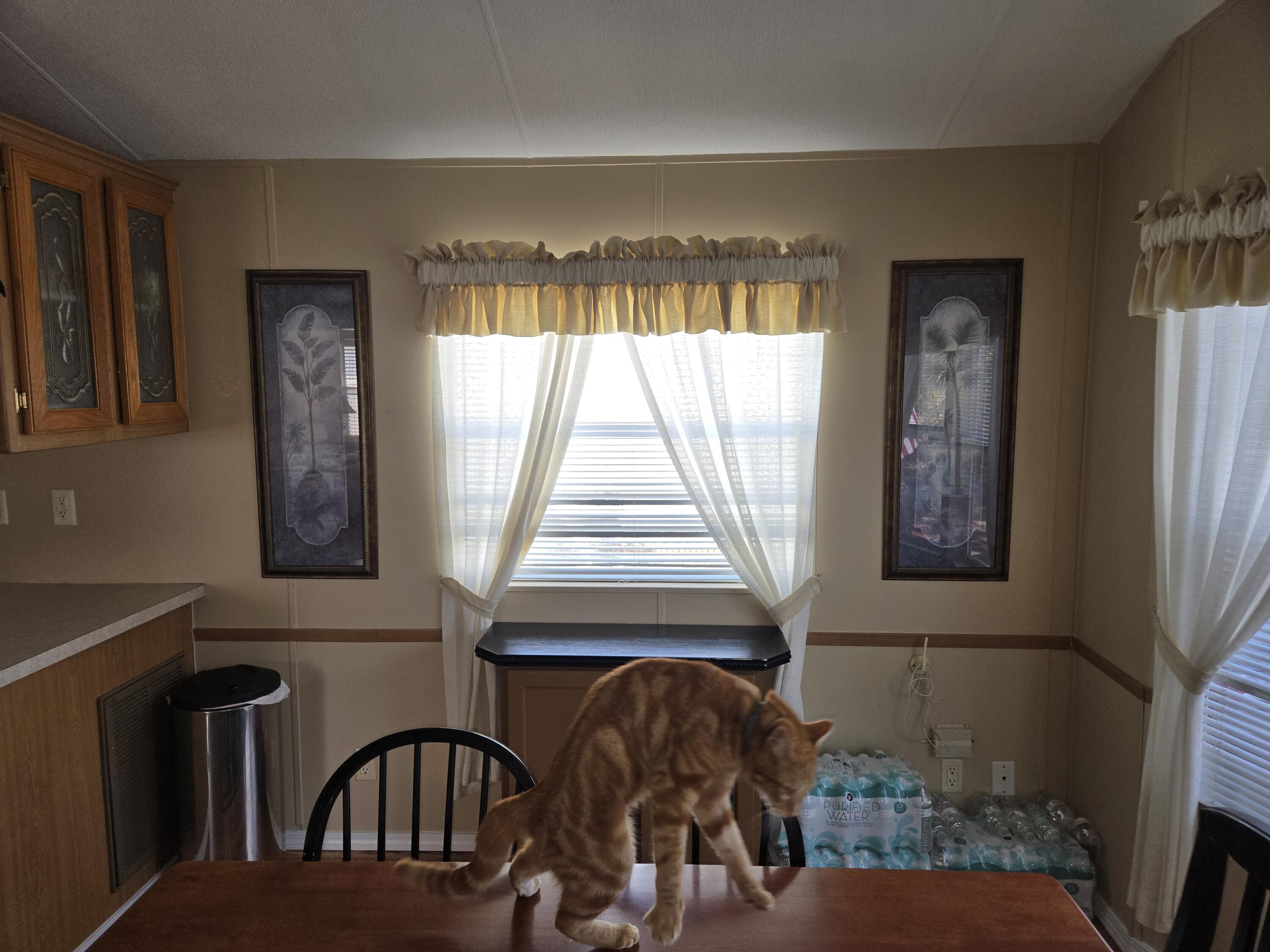 13681 Northwest 127th Terrace Okeechobee, FL 34974 - Photo 16 of 42 1000004838