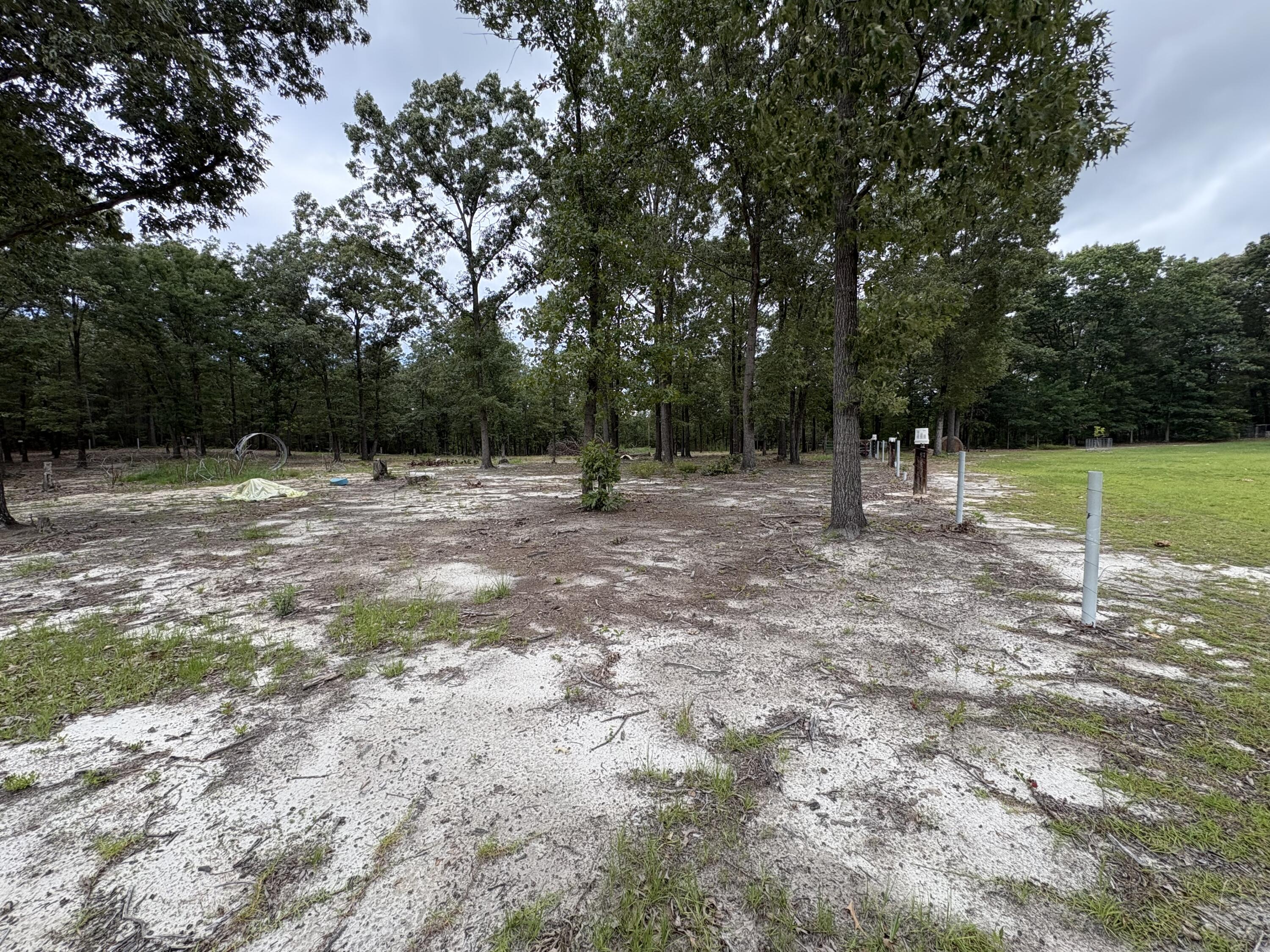 520 Springvale Road Bishopville, SC 29010 - Photo 4 of 31