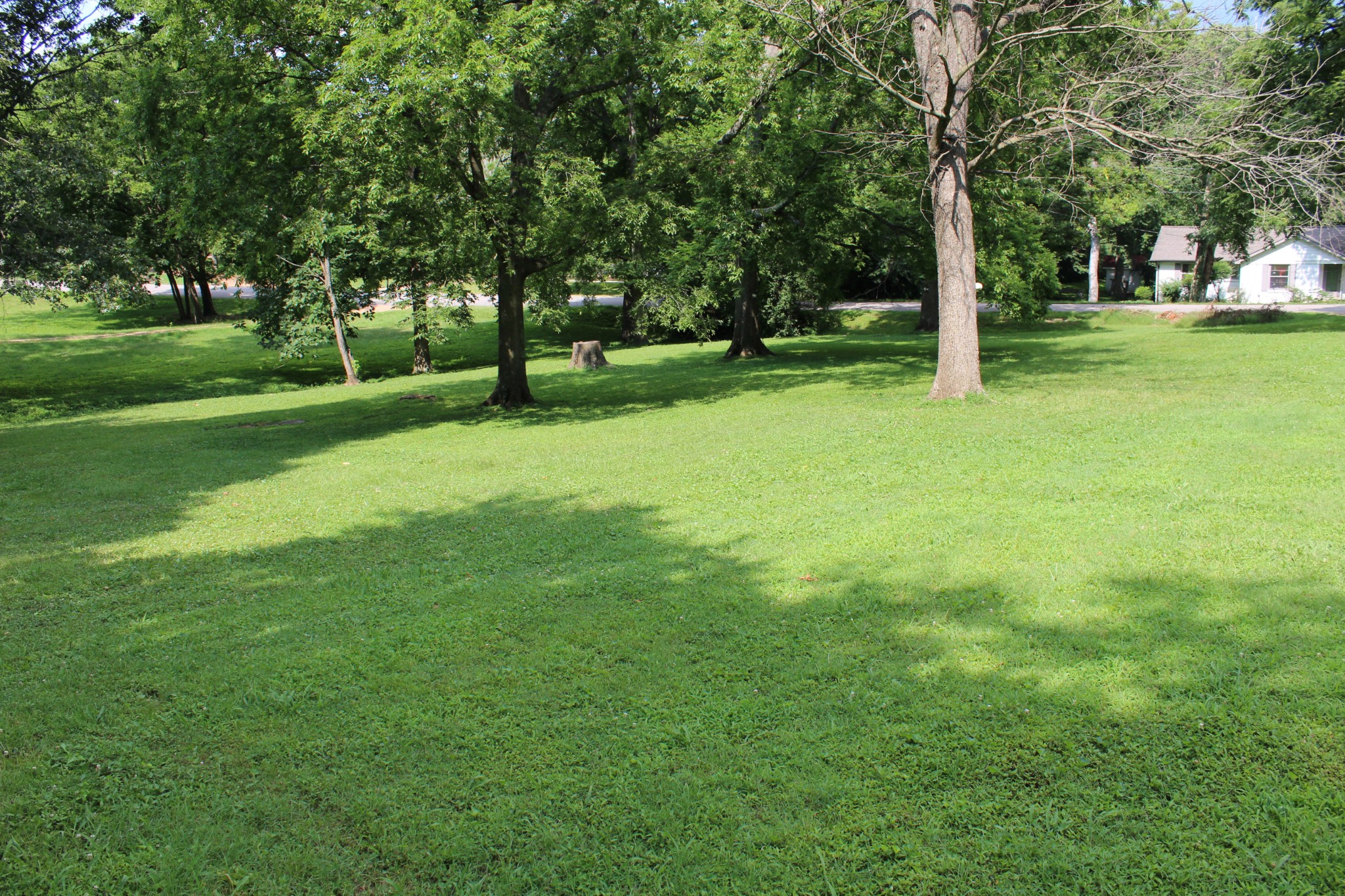 505 North Marthona Road Madison, TN 37115 - Photo 4 of 28 Gallery Image 4
