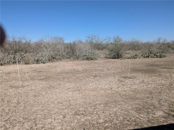 $1,100 | 5729 County Road 308, Orange Grove, TX 78372