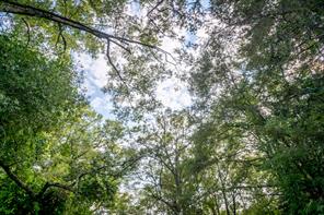 585 Mountain Road Westminster, SC 29693 - Photo 18 of 20 Overhead canopy of mature trees provides natural serenity.