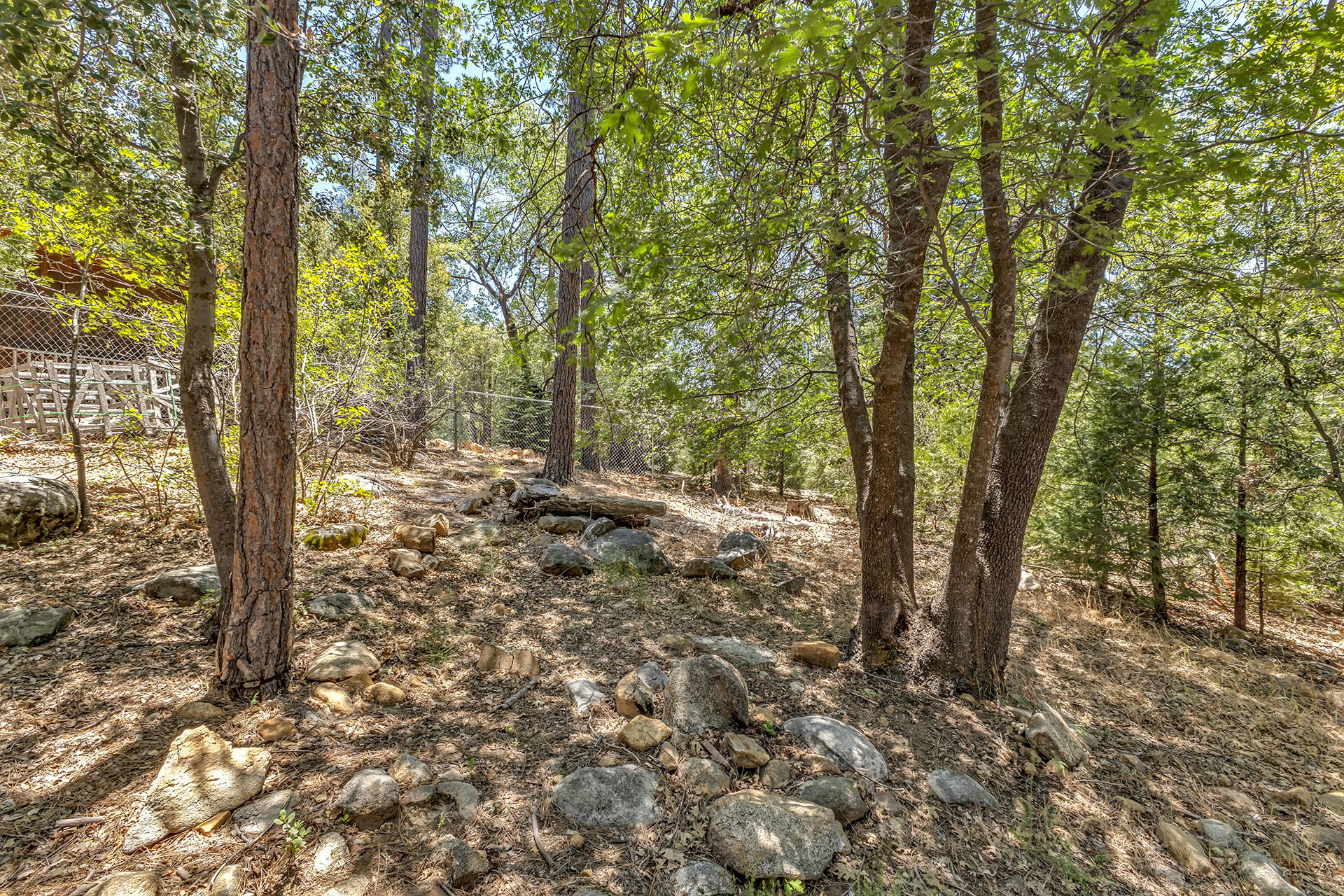 55175 John Muir Road Idyllwild, CA 92549 - Photo 13 of 56 IMG_8822