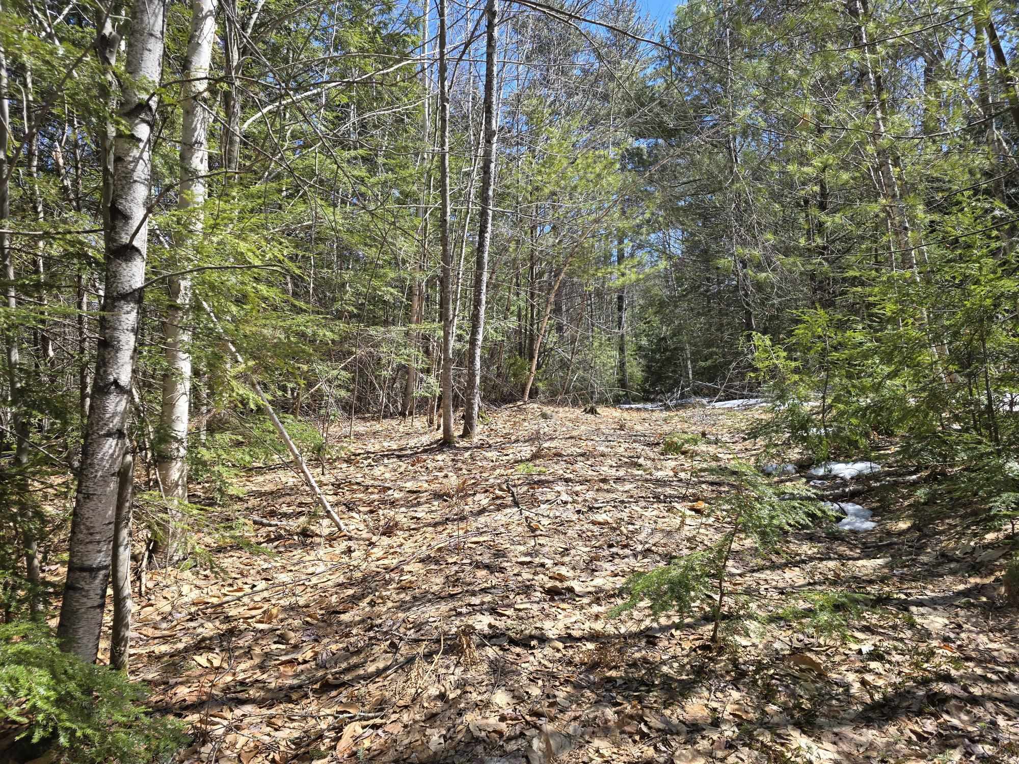 4 Center Conway Road Brownfield, ME 04010 - Photo 5 of 6