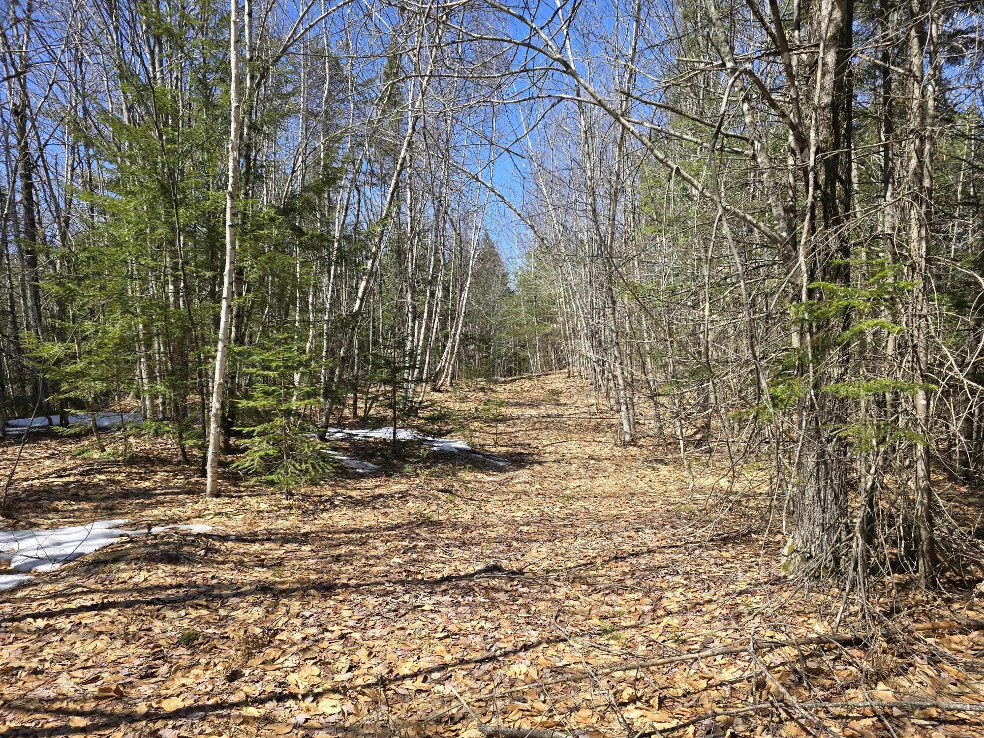 4 Center Conway Road Brownfield, ME 04010 - Photo 6 of 6