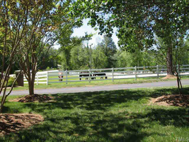 12405 Shooting Club Road Raleigh, NC 27613 - Photo 8 of 8 a view of a park