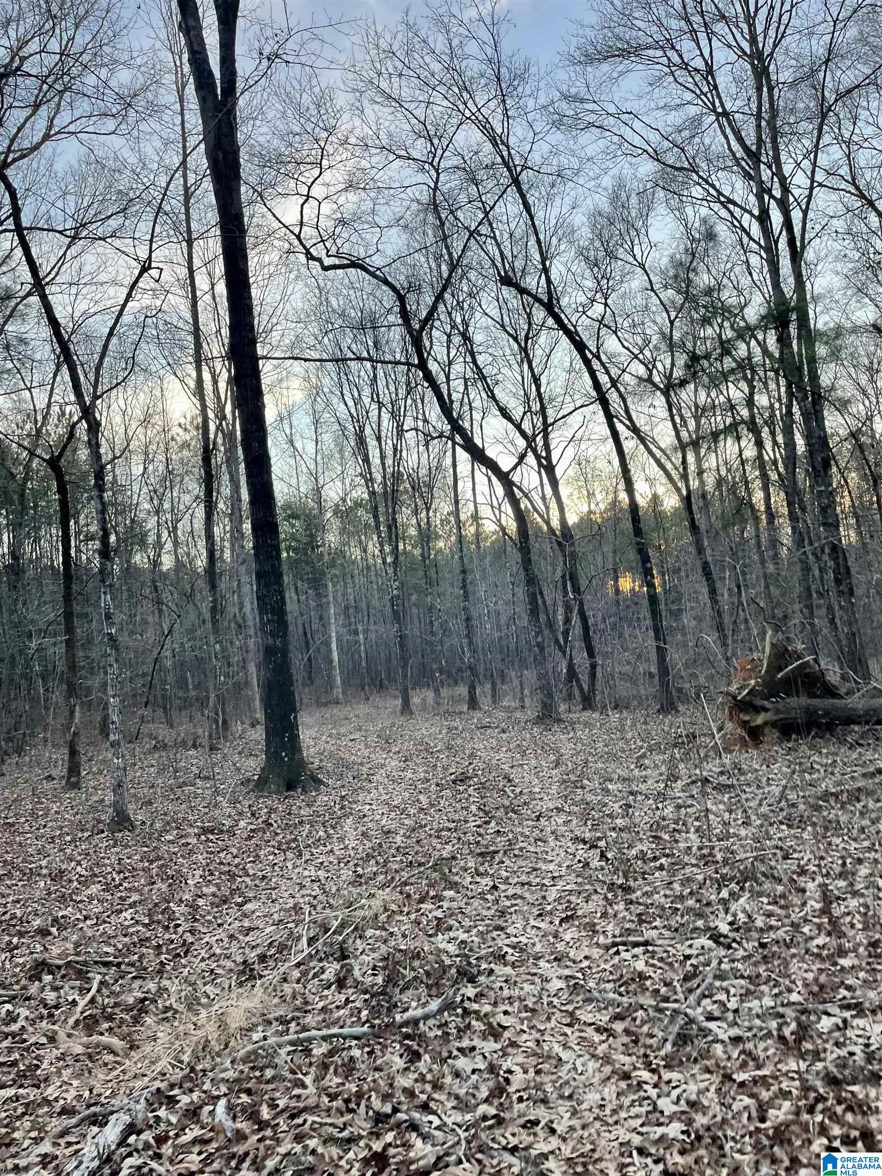 0 Ronbar Road Columbiana, AL 35051 - Photo 3 of 6