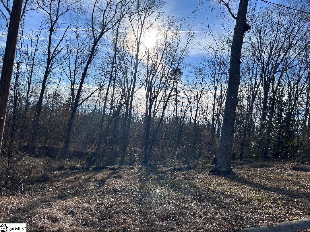 100 Lakeview Drive Fountain Inn, SC 29644 - Photo 1 of 8