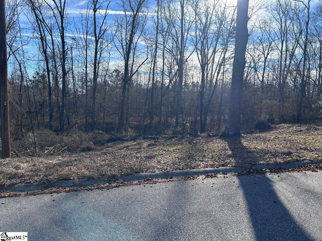 100 Lakeview Drive Fountain Inn, SC 29644 - Photo 2 of 8