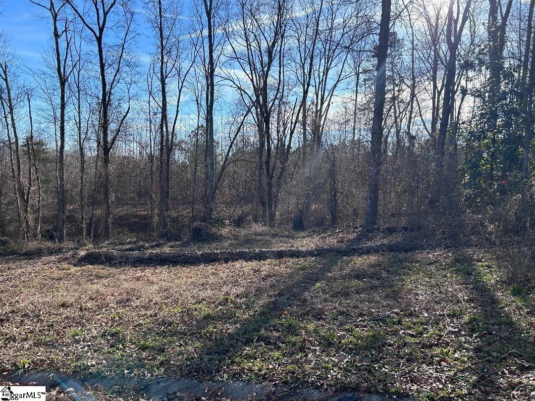 100 Lakeview Drive Fountain Inn, SC 29644 - Photo 3 of 8