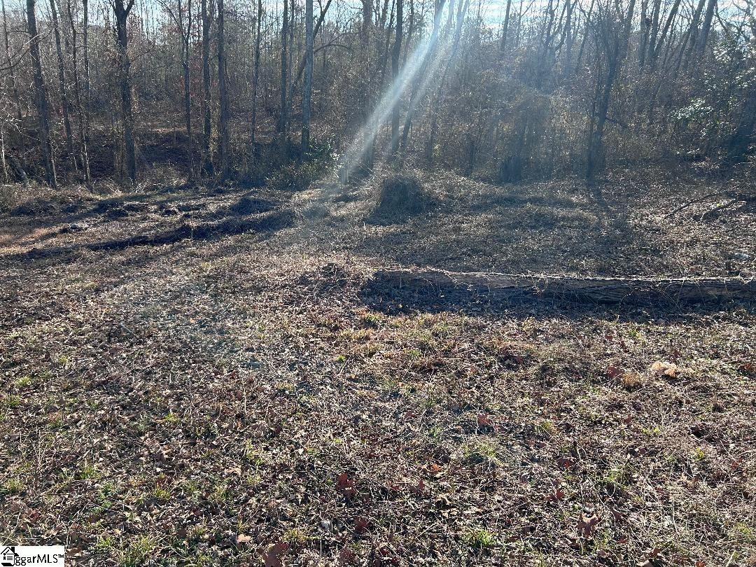 100 Lakeview Drive Fountain Inn, SC 29644 - Photo 4 of 8