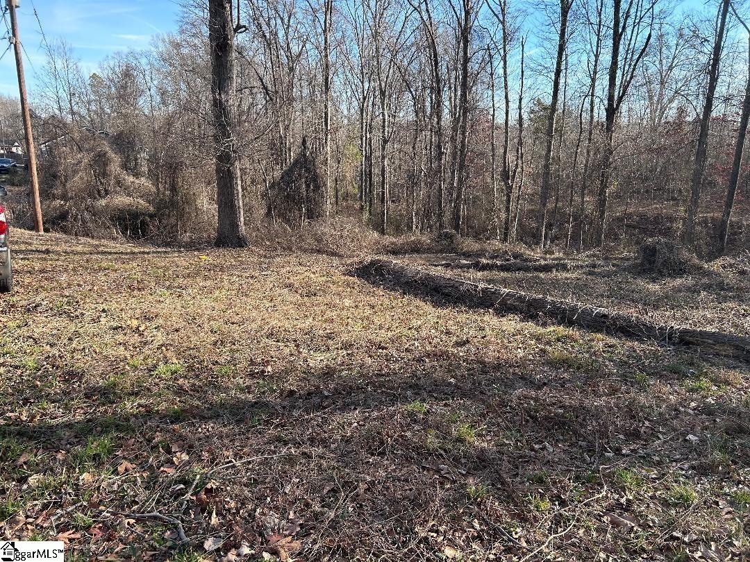 100 Lakeview Drive Fountain Inn, SC 29644 - Photo 5 of 8