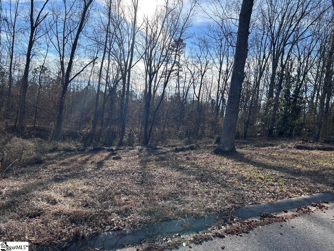 100 Lakeview Drive Fountain Inn, SC 29644 - Photo 6 of 8