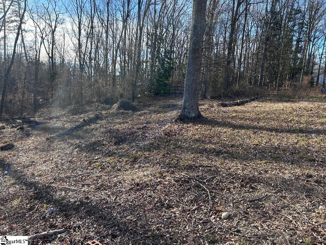 100 Lakeview Drive Fountain Inn, SC 29644 - Photo 7 of 8