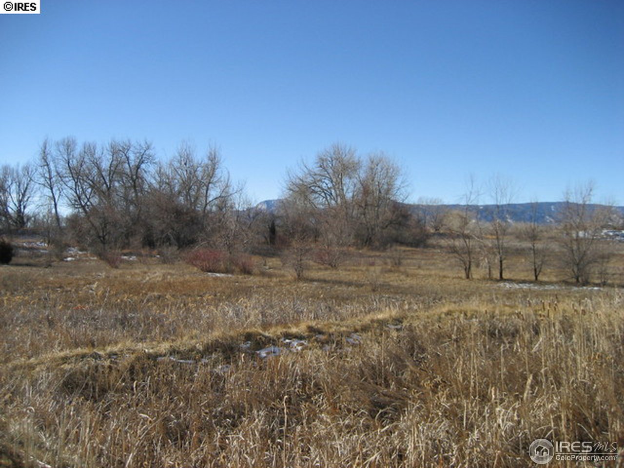 4965 Twin Lakes Road, Unit 64 Boulder, CO 80301 - Photo 6 of 6 a view of a dry yard with trees
