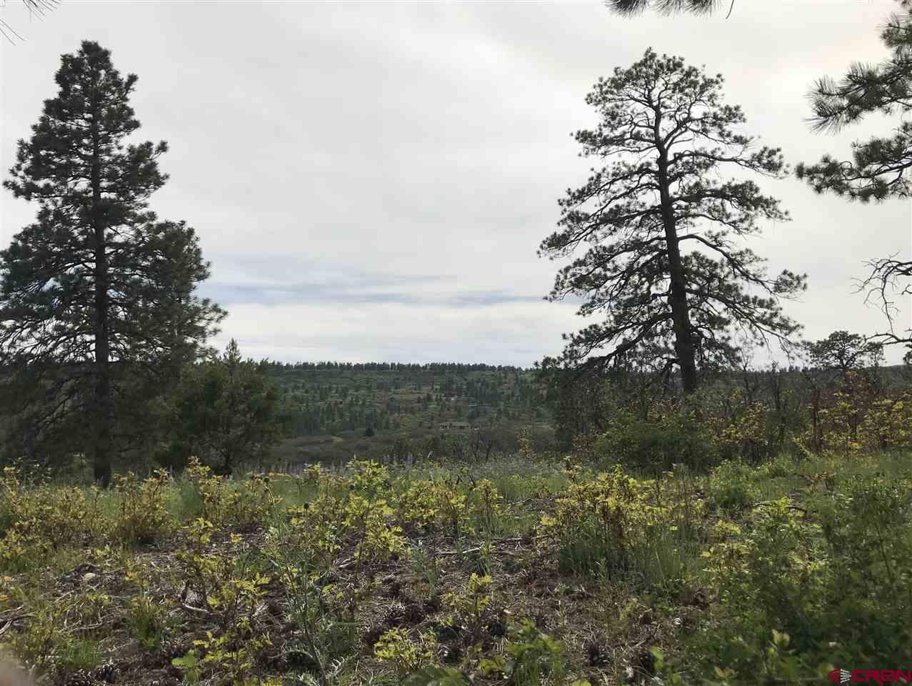 1843 Sheep Springs Road Durango, CO 81301 - Photo 14 of 34