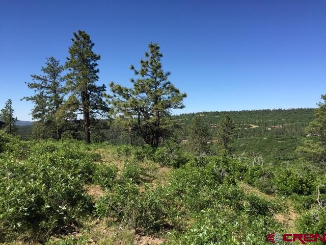 1843 Sheep Springs Road Durango, CO 81301 - Photo 3 of 34