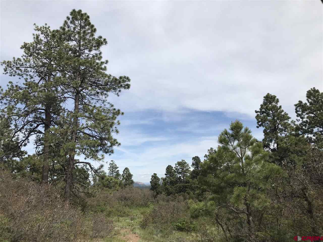 1843 Sheep Springs Road Durango, CO 81301 - Photo 22 of 34