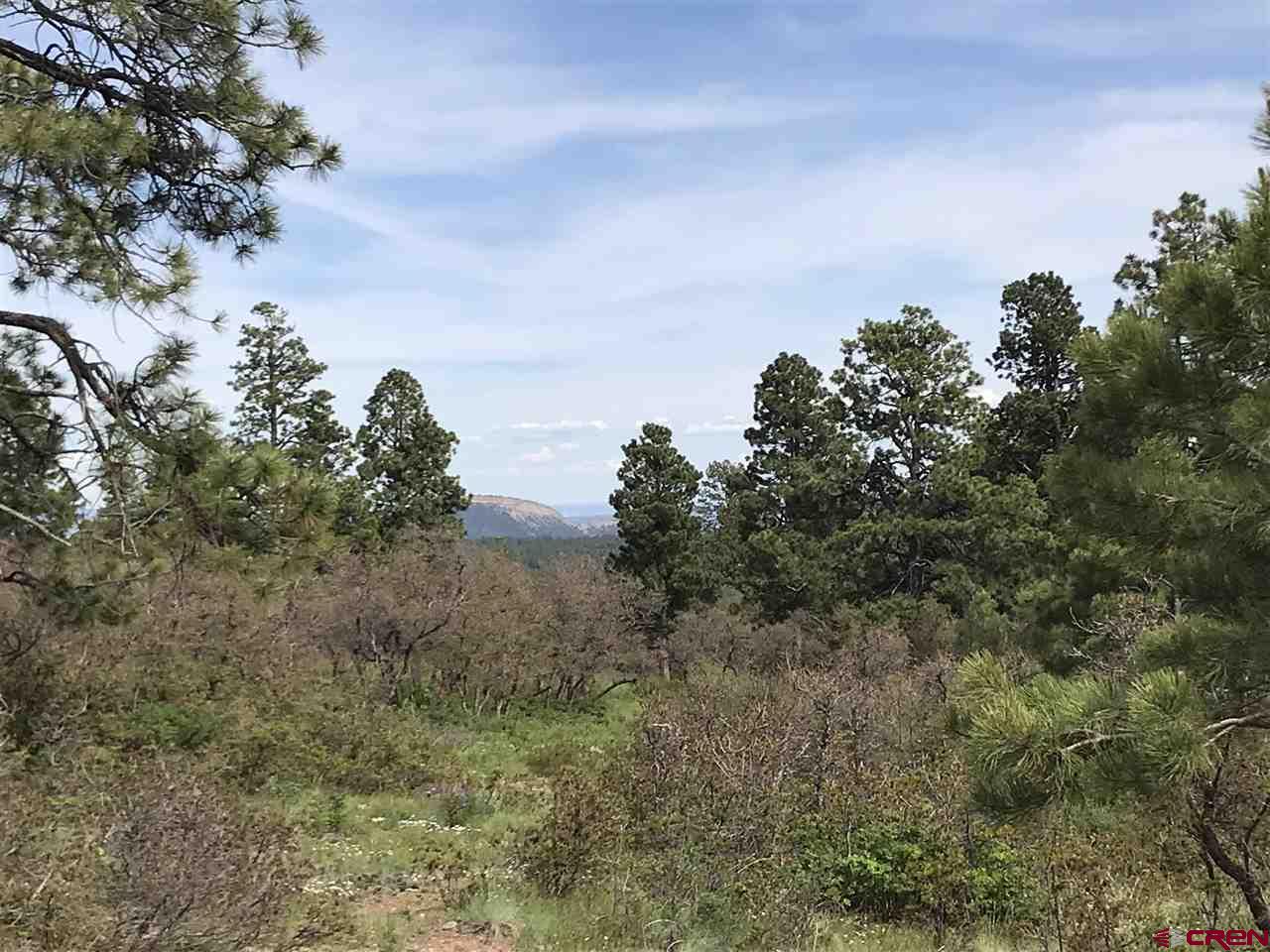 1843 Sheep Springs Road Durango, CO 81301 - Photo 23 of 34