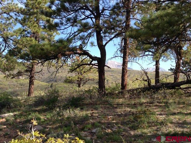 1843 Sheep Springs Road Durango, CO 81301 - Photo 5 of 34