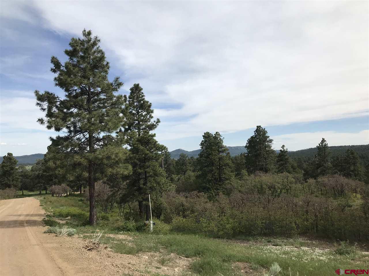 1843 Sheep Springs Road Durango, CO 81301 - Photo 9 of 34