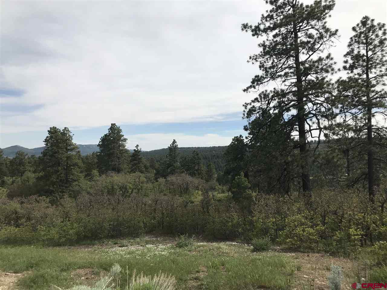1843 Sheep Springs Road Durango, CO 81301 - Photo 10 of 34