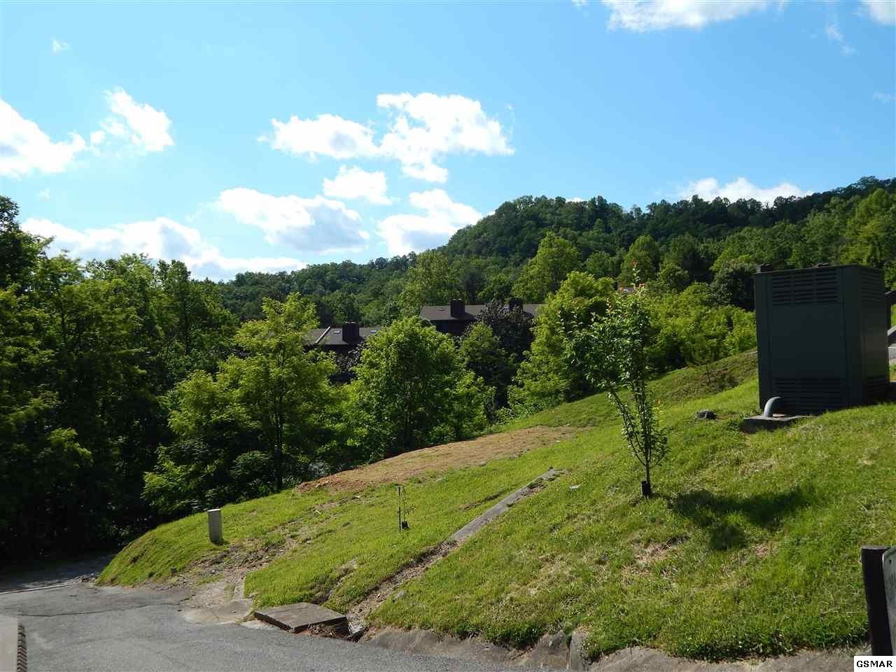 1081 Cove Road, Unit U723 Sevierville, TN 37876 - Photo 30 of 32 Gallery Image 30