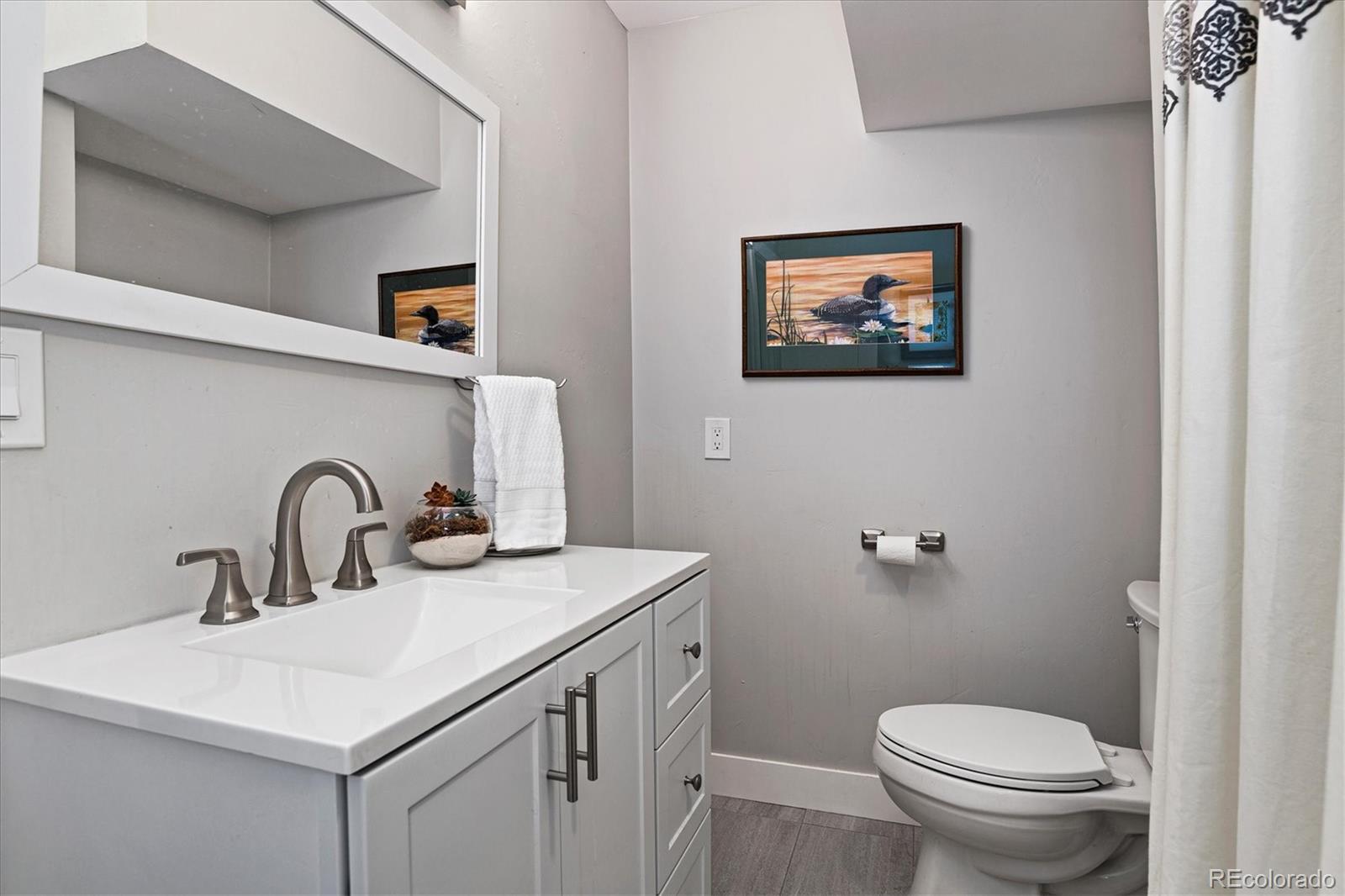 28867 Cedar Circle Evergreen, CO 80439 - Photo 17 of 35 a bathroom with a toilet a sink and a mirror