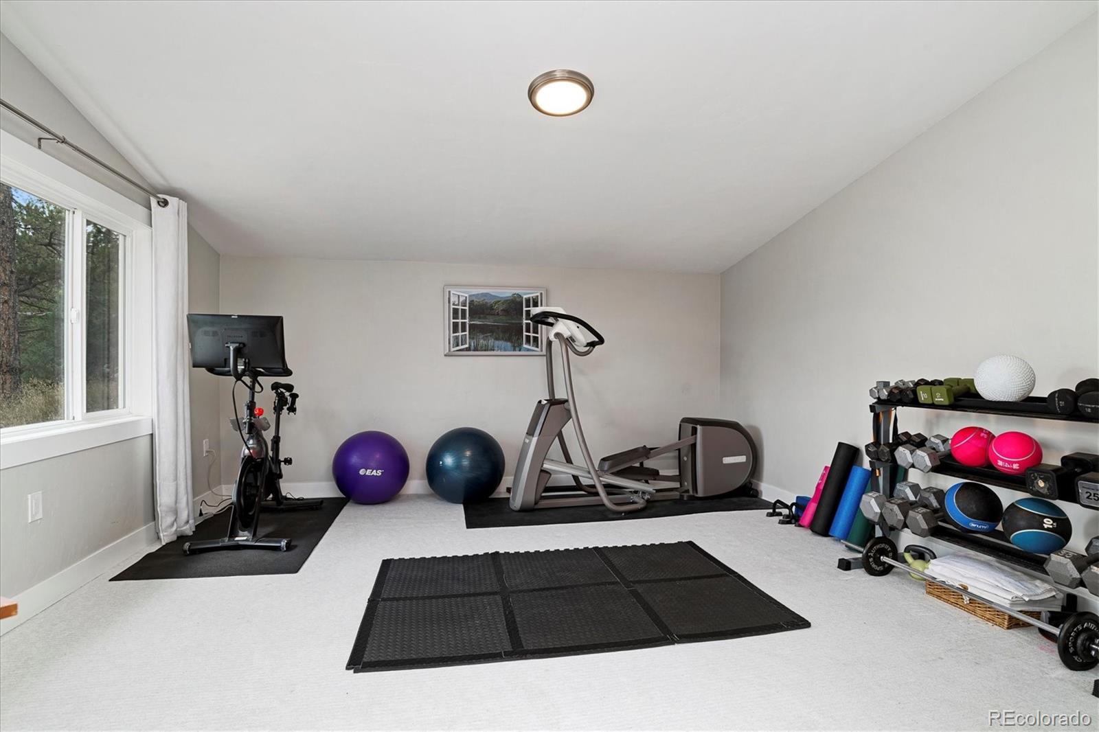 28867 Cedar Circle Evergreen, CO 80439 - Photo 24 of 35 a view of a room with gym equipment