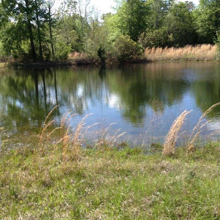 11177 Dynamite Road Bogalusa, LA 70427 - Photo 11 of 12 Gallery Image 11