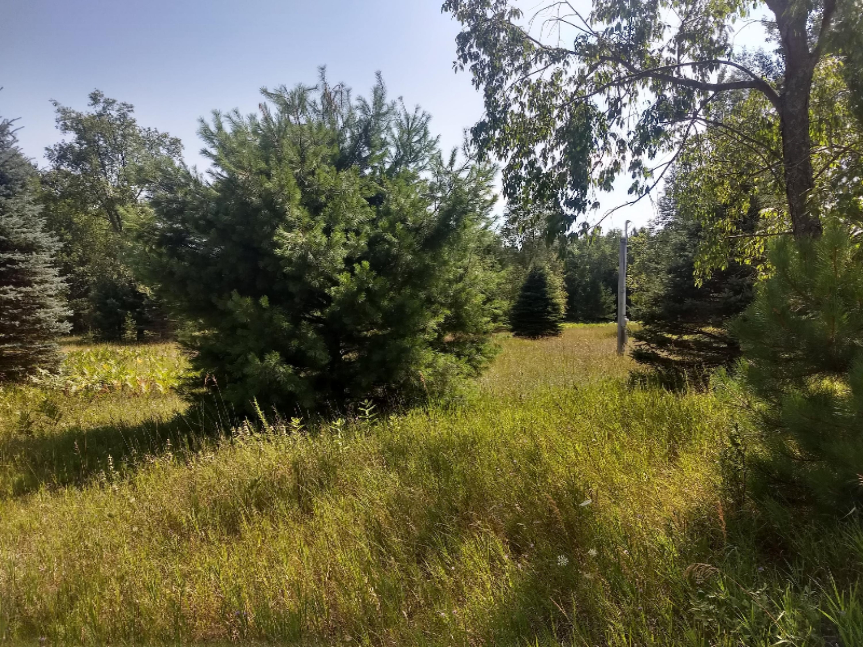 1465 East Koenig Road Free Soil, MI 49411 - Photo 2 of 16 IMG_20190807_154257622_HDR