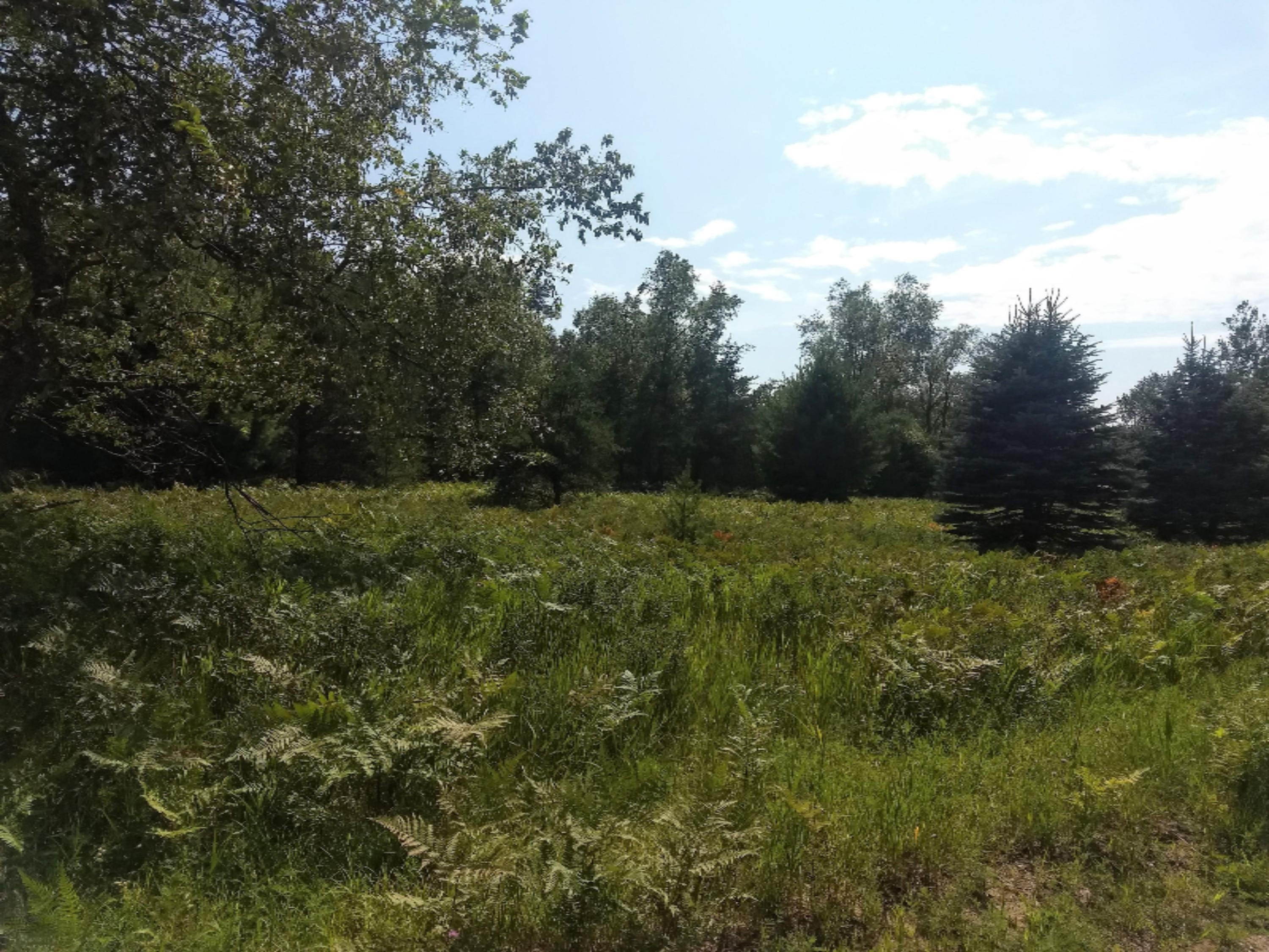 1465 East Koenig Road Free Soil, MI 49411 - Photo 3 of 16 IMG_20190807_154354365