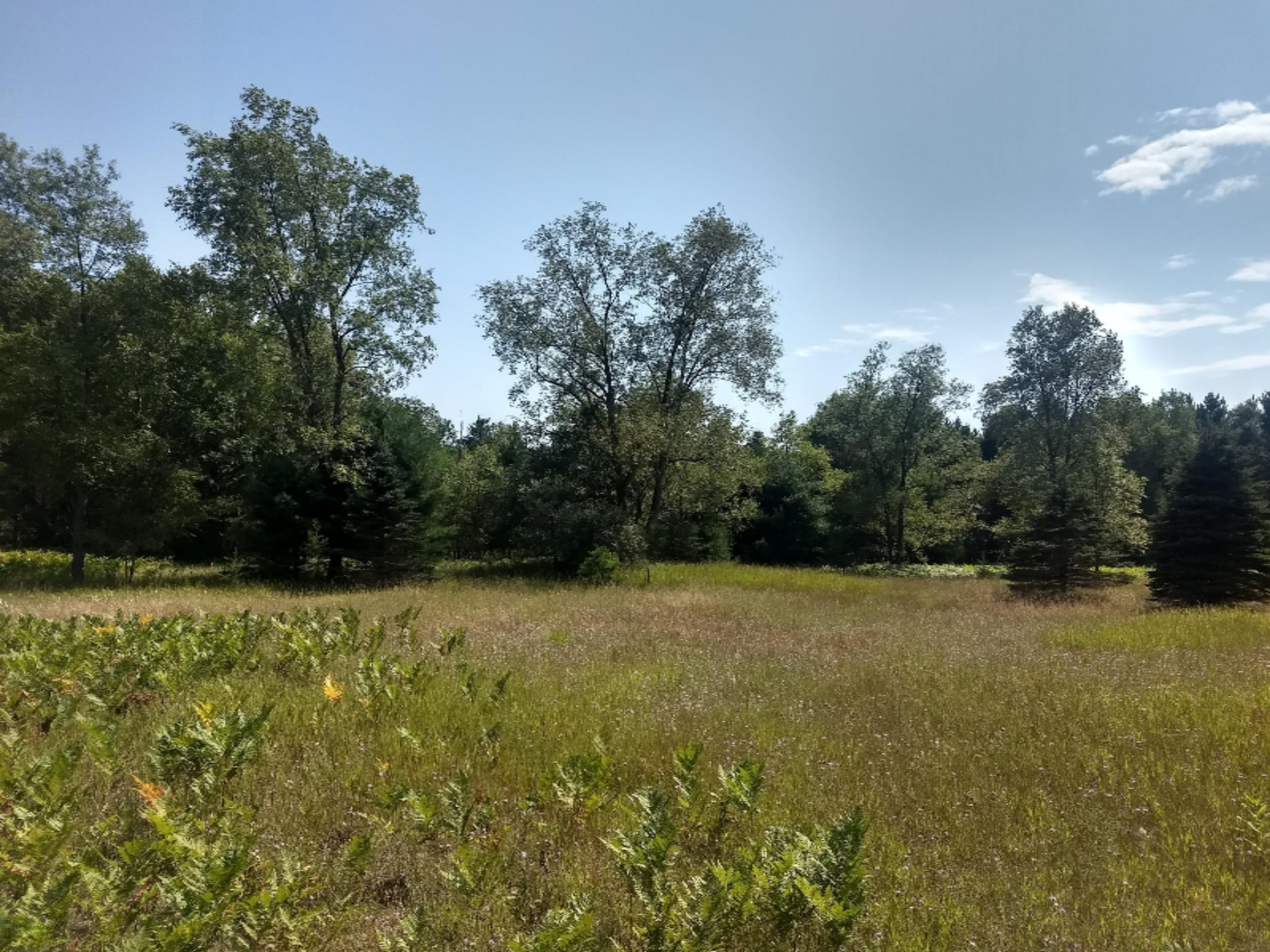 1465 East Koenig Road Free Soil, MI 49411 - Photo 5 of 16 IMG_20190807_154859129_HDR