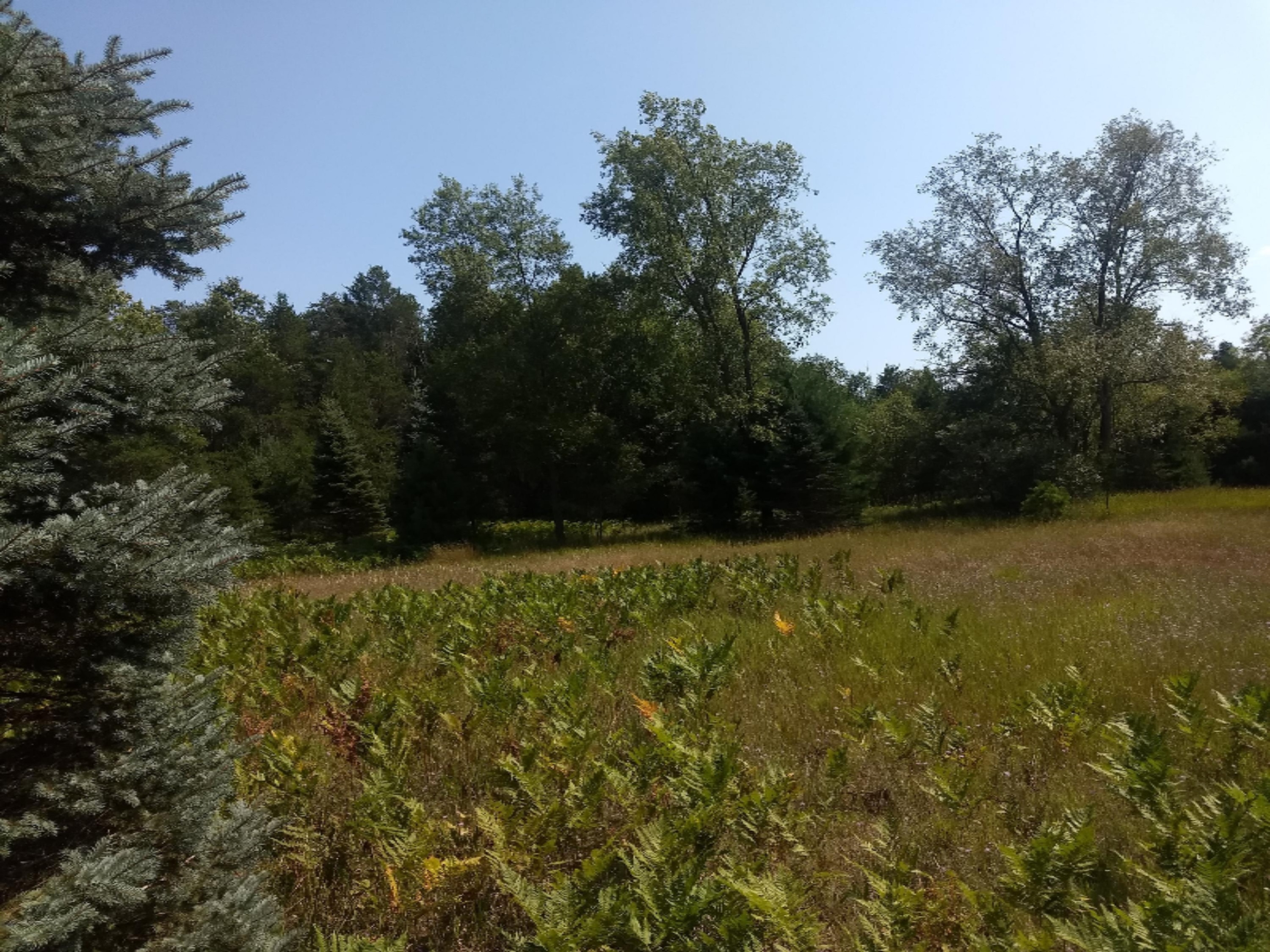 1465 East Koenig Road Free Soil, MI 49411 - Photo 6 of 16 IMG_20190807_154901792