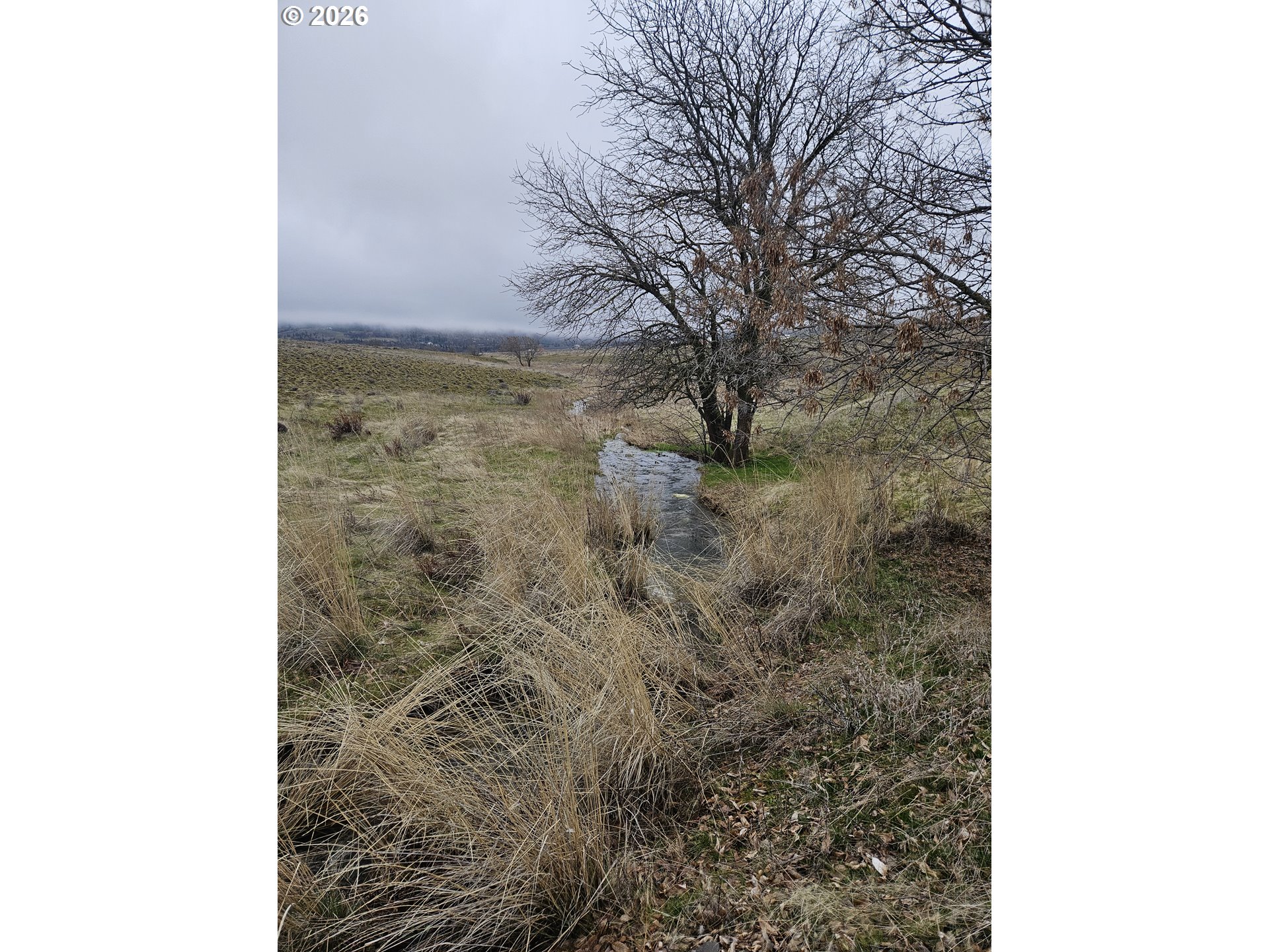 44 Dightons Lane Goldendale, WA 98620 - Photo 6 of 15 a view of a bathroom with a shower